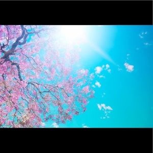 Meet your Posher, Mallory